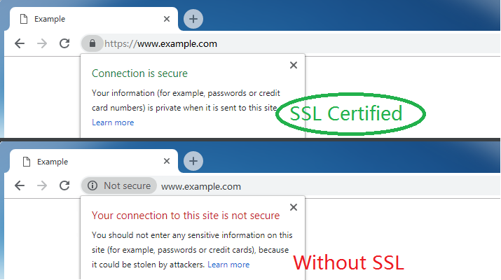 How to choose the right SSL certificate for your website? 11