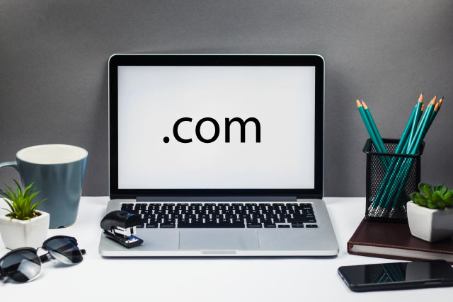 WHMCS provides domain name service