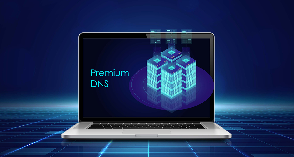 Premium DNS 2022 1