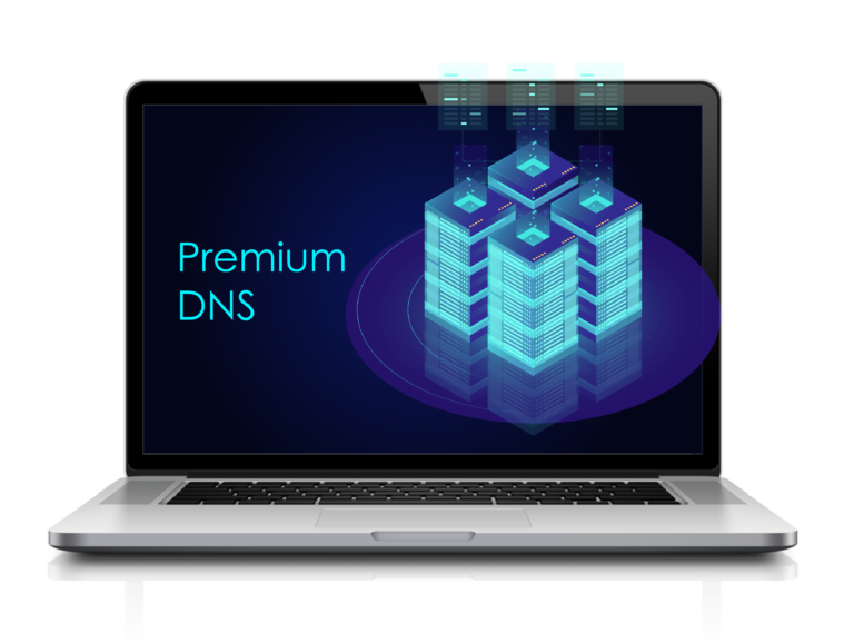 Premium DNS - Successful (TW) 1