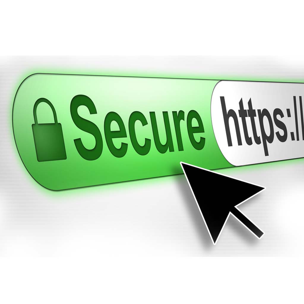 DigiCert Smart Seal - SSL Secure Site Seal 6