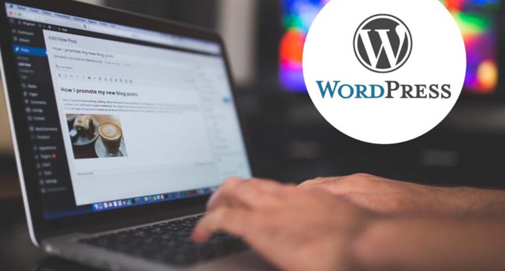 Common WordPress Vulnerabilities and How to Overcome Them 1