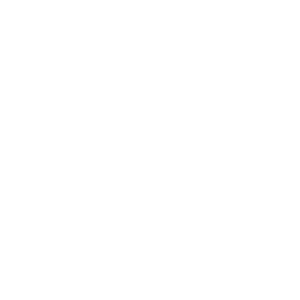 Premium DNS - CN 7