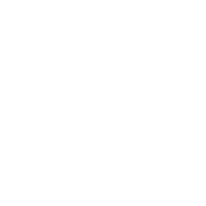 Premium DNS - TW 6