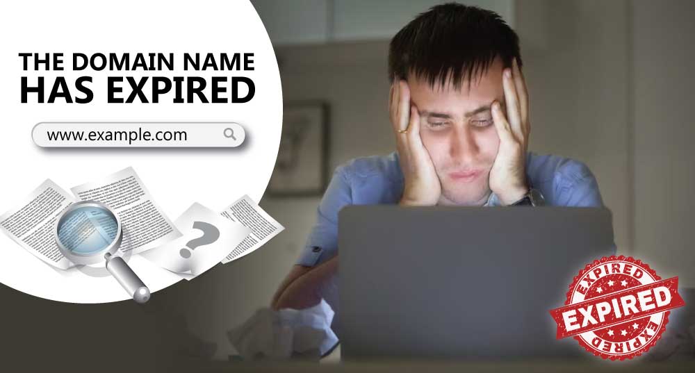 The Hidden Value of Expired Domain Names 30