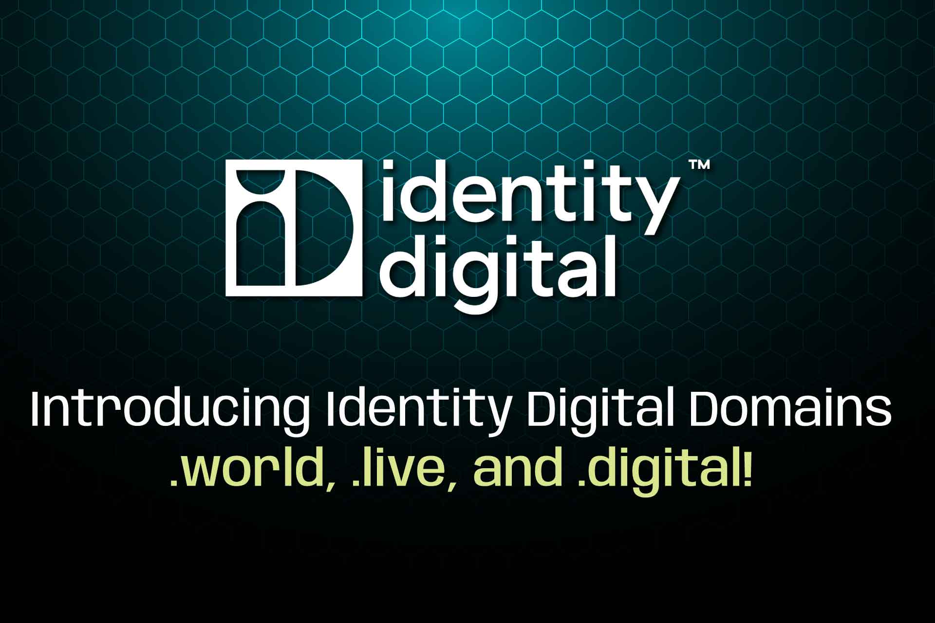 WebNIC 24th Anniversary Campaign Page - Identity Digital 1