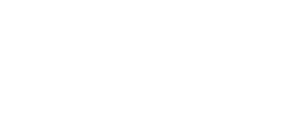 WebNIC 24th Anniversary Campaign Page - Identity Digital 2