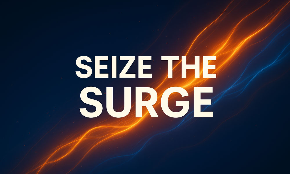 Seize-the-Surge